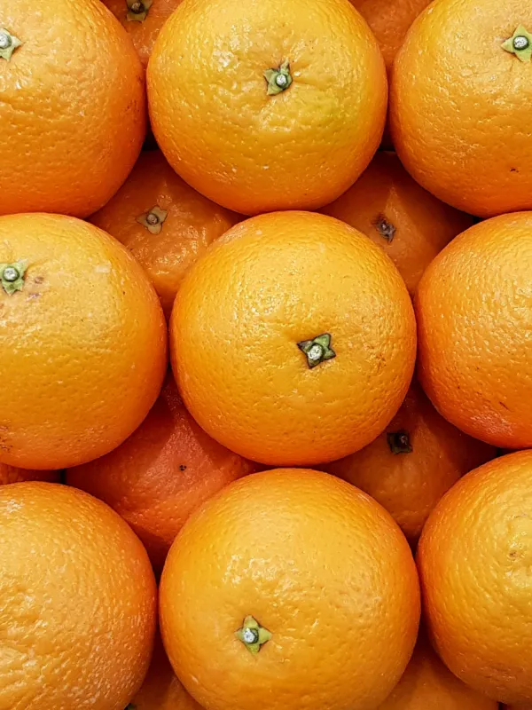 Producte Taronges Imatge